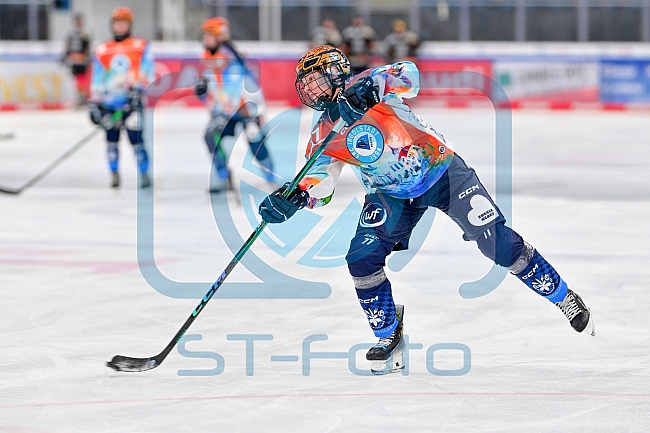 Eishockey, Frauen, DFEL, Saison 2024-2025, ERC Ingolstadt - EC Bergkamener Bären, 05.01.2025