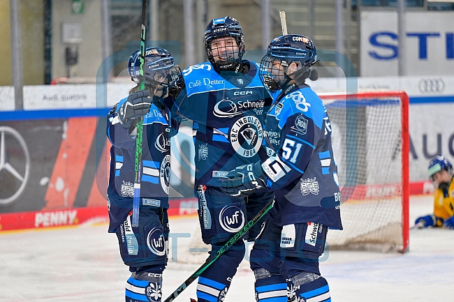 Eishockey, Frauen, DFEL, Saison 2025-2026, Testspiel, ERC Ingolstadt - HC Davos, 14.02.2026