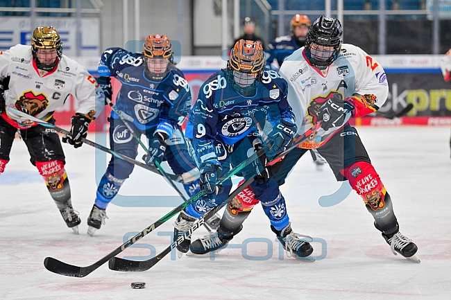 Eishockey, Frauen, DFEL, Saison 2024-2025, ERC Ingolstadt - EC Bergkamener Bären, 04.01.2025