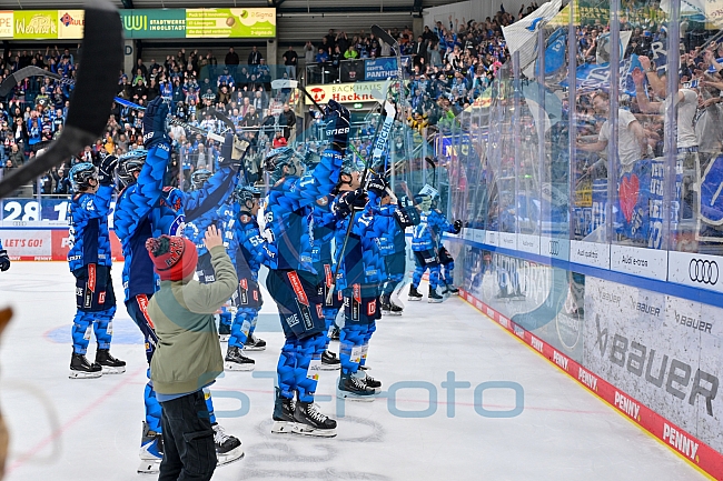 Eishockey, Herren, DEL, Saison 2025-2026, Spiel 16, ERC Ingolstadt - Kölner Haie, 31.10.2025