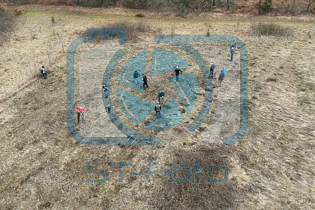 Eishockey, Herren, DEL, Saison 2023-2024, ERC Ingolstadt - Baumpflanzaktion, 03.03.2024