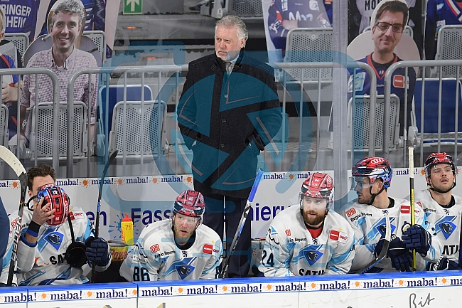 Eishockey, Herren, DEL, Saison 2020-2021, Adler Mannheim - ERC Ingolstadt, 24.01.2021