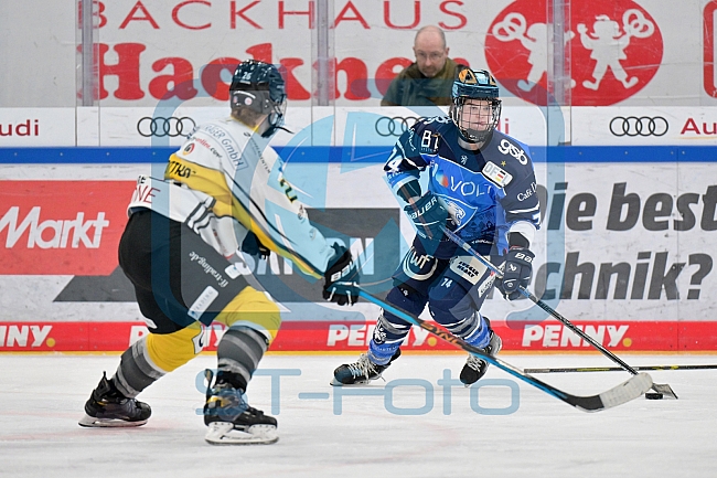 Eishockey, Frauen, DFEL, Saison 2023-2024, ERC Ingolstadt - Mad Dogs Mannheim, 18.02.2024