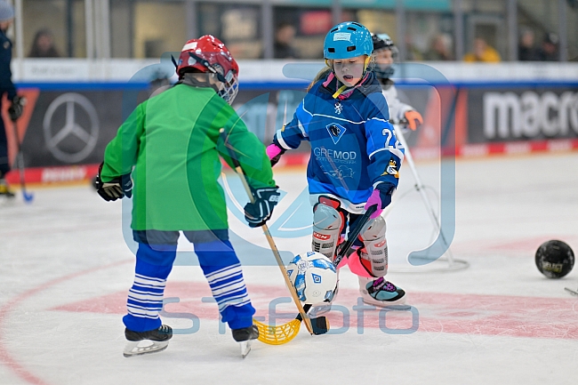 Eishockey, Saison 2025-2026, ERC Ingolstadt - Kids On Ice Day, 29.11.2025