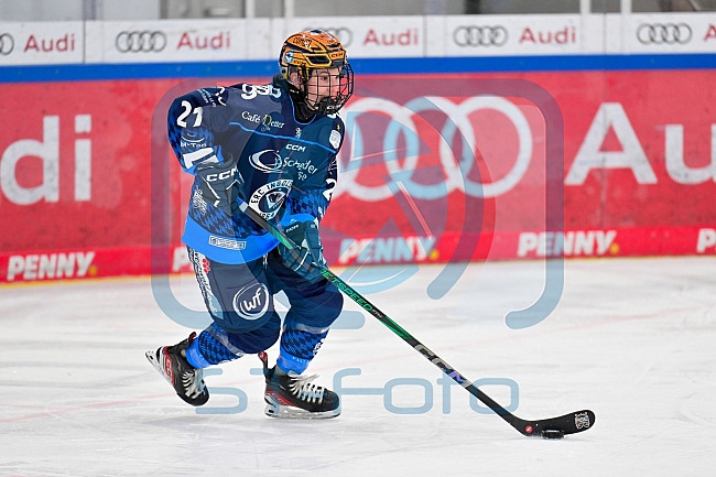 Eishockey, Frauen, DFEL, Saison 2024-2025, ERC Ingolstadt - EC Bergkamener Bären, 05.01.2025