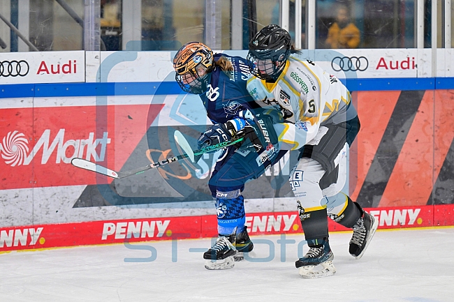 Eishockey, Frauen, DFEL, Saison 2024-2025, ERC Ingolstadt - Mad Dogs Mannheim, 23.11.2024