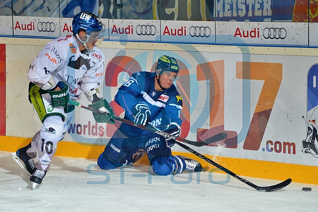 ERC Ingolstadt vs Augsburger Panther, Eishockey, DEL, Deutsche Eishockey Liga, Spieltag 21, 23.11.2016