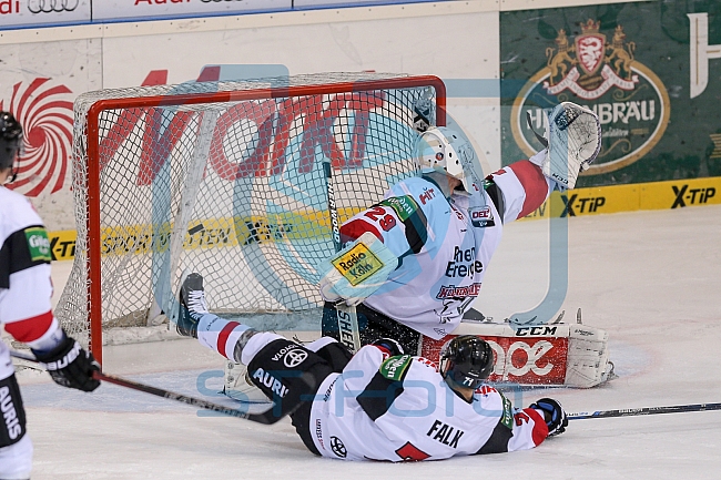 ERC Ingolstadt - Koelner Haie, Eishockey, DEL, Deutsche Eishockey Liga, Spieltag 16, 01.11.2015