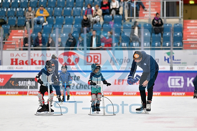 Eishockey, Herren, DEL, Saison 2023-2024, ERC Ingolstadt - Kids on Ice Day, 30.09.2023