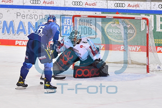 Eishockey, Herren, DEL, Saison 2020-2021, ERC Ingolstadt - Kölner Haie, 10.04.2021