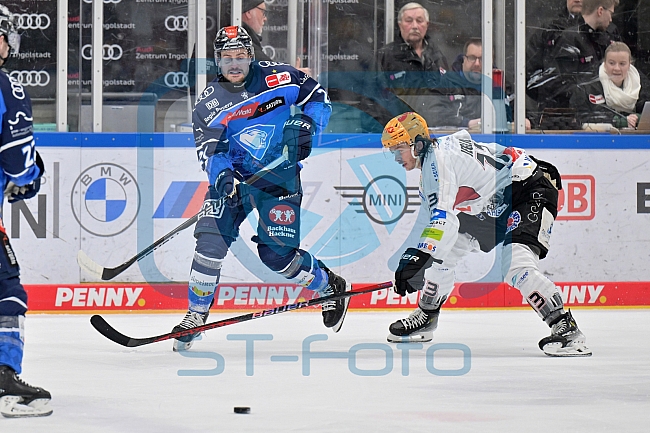 Eishockey, Herren, DEL, Saison 2023-2024, Playoffs Viertelfinale - Spiel 2, ERC Ingolstadt - Fischtown Pinguins , 20.03.2024