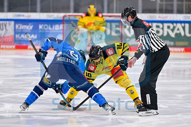 Eishockey, U20, DNL, Saison 2024-2025, ERC Ingolstadt - Krefelder EV 81, 01.03.2025