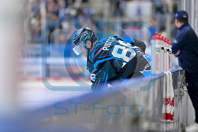 Eishockey, Herren, DEL, Saison 2025-2026, Spiel 23, ERC Ingolstadt - Dresdner Eislöwen, 28.11.2025