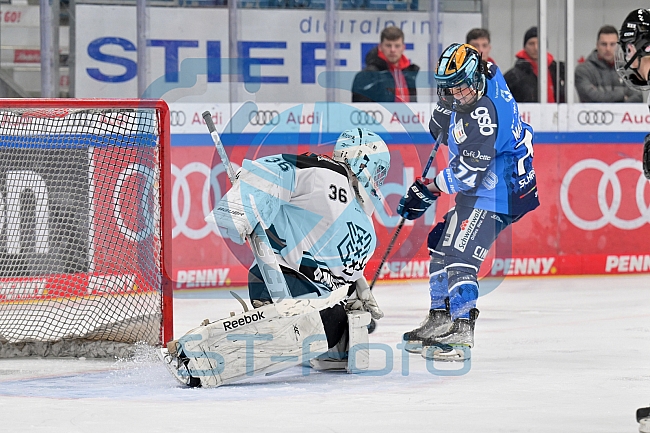 Eishockey, Frauen, DFEL, Saison 2023-2024, ERC Ingolstadt - Amsterdam Tigers, 06.01.2024