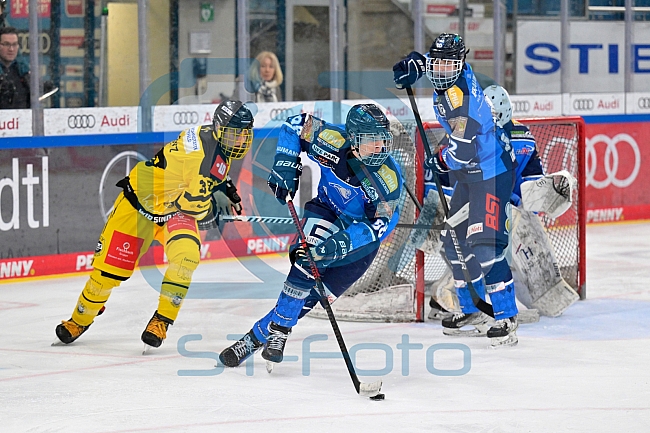 Eishockey, U20, DNL, Saison 2024-2025, ERC Ingolstadt - Krefelder EV 81, 01.03.2025