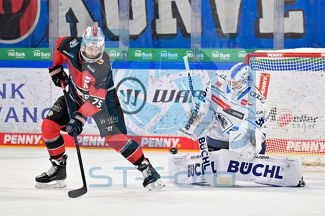 Eishockey, Herren, DEL, Saison 2025-2026, Spiel 39, Nürnberg Ice Tigers - ERC Ingolstadt, 11.01.2026