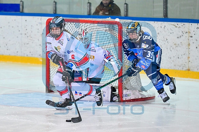 Eishockey, Frauen, DFEL, Saison 2023-2024, ERC Ingolstadt - ECDC Memmingen Indians, 21.01.2024