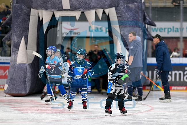 Eishockey, Saison 2025-2026, ERC Ingolstadt - Kids On Ice Day, 29.11.2025