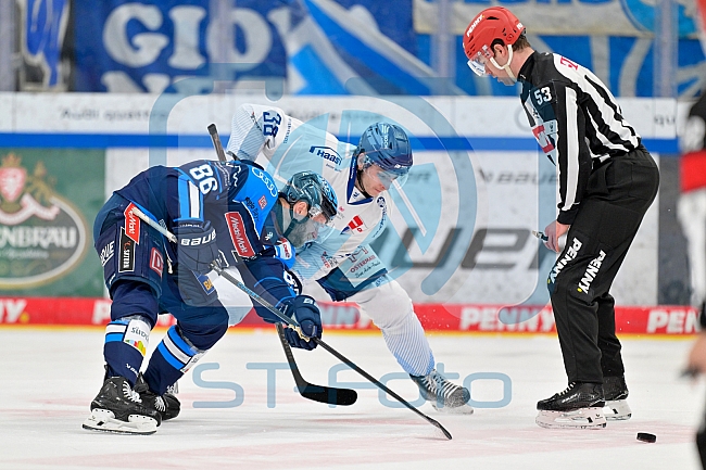 Eishockey, Herren, DEL, Saison 2025-2026, Spiel 40, ERC Ingolstadt - Straubing Tigers, 16.01.2026