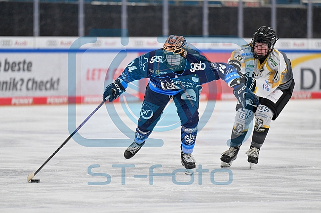 Eishockey, Frauen, DFEL, Saison 2024-2025, ERC Ingolstadt - Mad Dogs Mannheim, 23.11.2024
