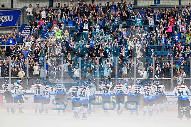 Eishockey, Herren, DEL, Saison 2024-2025, Vorbereitung, ERC Ingolstadt - Dresdner Eislöwen, 18.08.2024