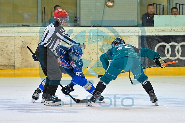 Eishockey, Herren, DEL, Saison 2026-2027, Steinbach Black Wings Linz - ERC Ingolstadt, 23.08.2026
