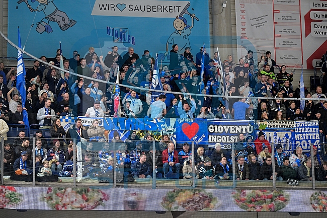 Eishockey, Herren, DEL, Saison 2025-2026, Spiel 39, Nürnberg Ice Tigers - ERC Ingolstadt, 11.01.2026