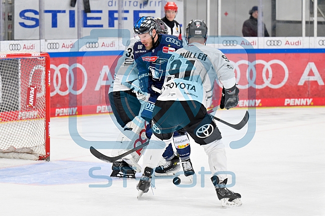 Eishockey, Herren, DEL, Saison 2024-2025, Playoffs Halbfinale, Spiel 5, ERC Ingolstadt - Kölner Haie, 11.04.2025