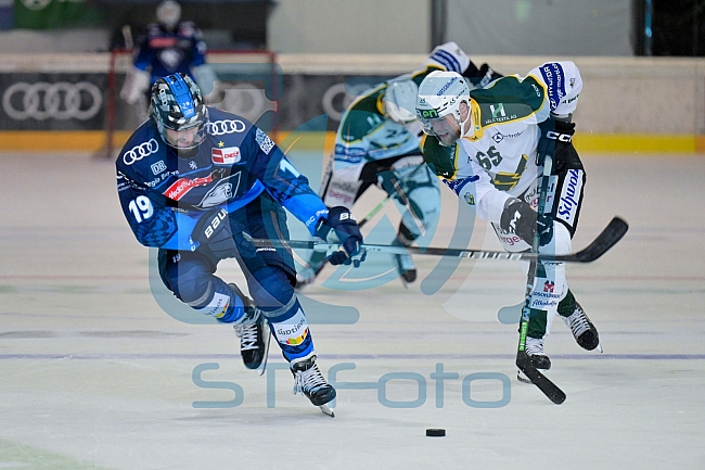 Eishockey, Herren, DEL, Saison 2024-2025, EHC Olten - ERC Ingolstadt, 25.08.2024