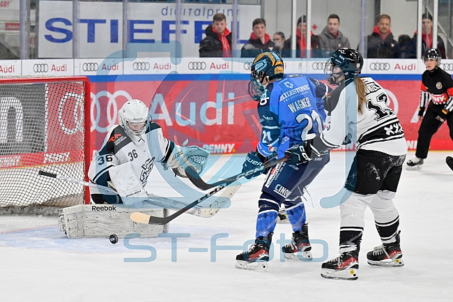 Eishockey, Frauen, DFEL, Saison 2023-2024, ERC Ingolstadt - Amsterdam Tigers, 06.01.2024