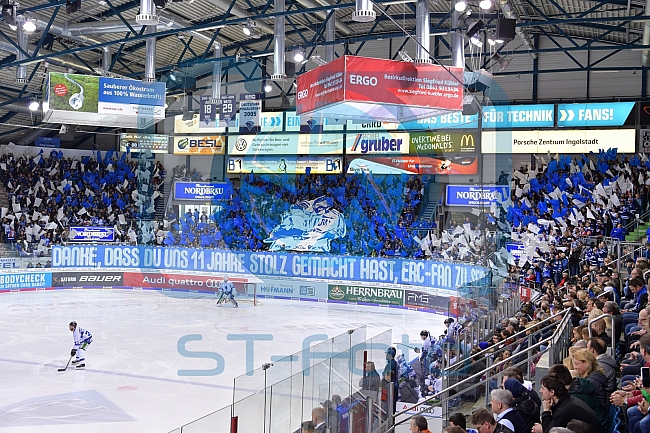 ERC Ingolstadt vs Straubing Tigers, DEL, Deutsche Eishockey Liga, Spieltag 52, 03.03.2019