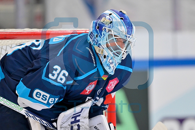 Hockey, Mens, CHL, Season 2025-2026, Regular Season, Game Day 6, ERC Ingolstadt - Odense Bulldogs, 15.10.2025