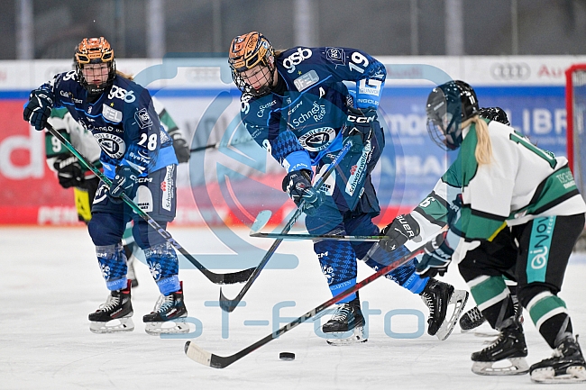 Eishockey, Frauen, European Womens Hockey League, Saison 2024-2025, ERC Ingolstadt - Lakers Kärnten, 13.09.2024