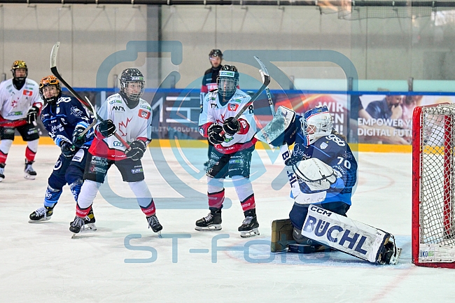 Eishockey, Frauen, DFEL, Saison 2024-2025, ERC Ingolstadt - HK Budapest Roster, 12.01.2025