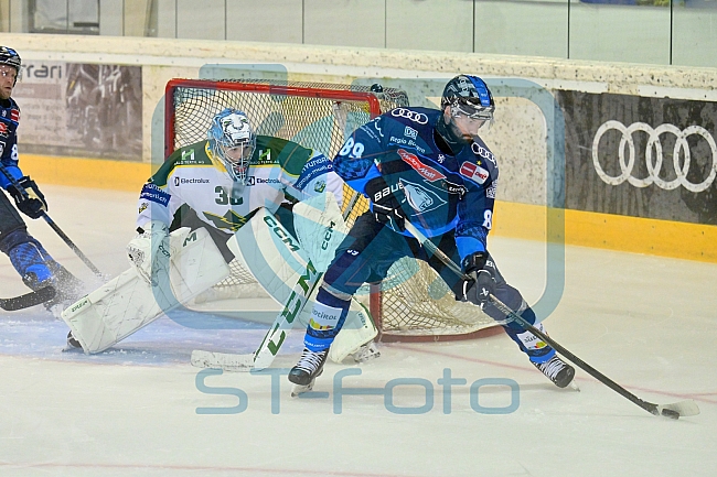 Eishockey, Herren, DEL, Saison 2024-2025, EHC Olten - ERC Ingolstadt, 25.08.2024