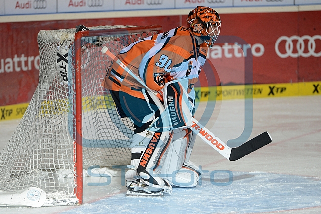 ERC Ingolstadt vs Grizzlys Wolfsburg, Eishockey, DEL, Deutsche Eishockey Liga, 18.10.2015
