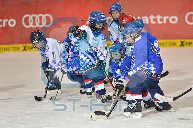 ERC Ingolstadt vs Straubing Tigers, Eishockey, DEL, Deutsche Eishockey Liga, 22.12.2015