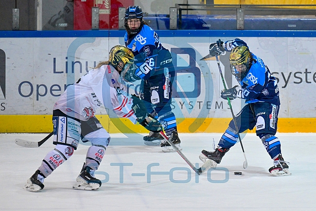 Eishockey, Frauen, DFEL, Saison 2025-2026, ERC Ingolstadt - ECDC Memmingen Indians, 25.01.2026