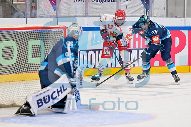 Hockey, Mens, CHL, Season 2025-2026, Regular Season, Game Day 6, ERC Ingolstadt - Odense Bulldogs, 15.10.2025