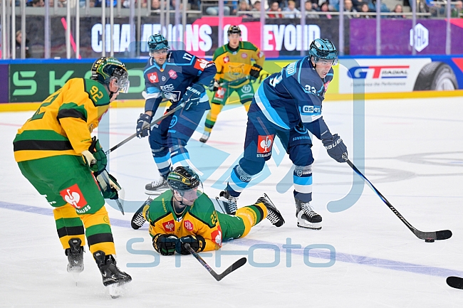 Hockey, Mens, CHL, Season 2025-2026, Regular Season, Game Day 1, ERC Ingolstadt - Ilves Tampere, 28.08.2025
