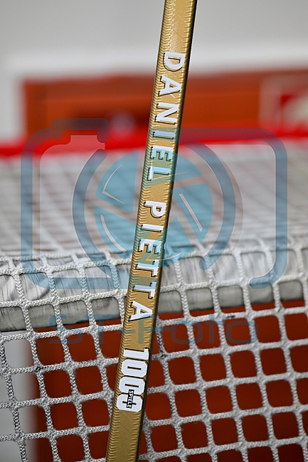 Eishockey, Herren, DEL, Saison 2023-2024, Playoffs Viertelfinale - Spiel 2, ERC Ingolstadt - Fischtown Pinguins , 20.03.2024