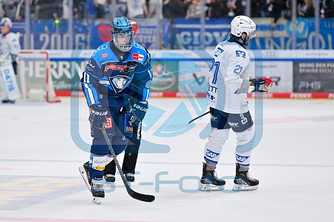 Eishockey, Herren, DEL, Saison 2025-2026, Spiel 14, ERC Ingolstadt - Adler Mannheim, 26.10.2025