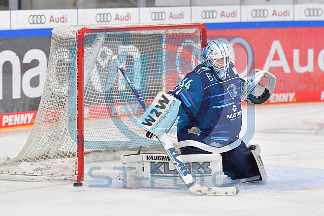 Eishockey, Frauen, DFEL, Saison 2021-2022, ERC Ingolstadt - Mad Dogs Mannheim, 24.10.2021