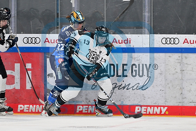 Eishockey, Frauen, DFEL, Saison 2023-2024, ERC Ingolstadt - Amsterdam Tigers, 06.01.2024