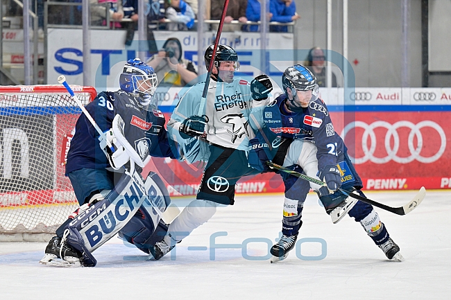 Eishockey, Herren, DEL, Saison 2024-2025, Playoffs Halbfinale, Spiel 5, ERC Ingolstadt - Kölner Haie, 11.04.2025