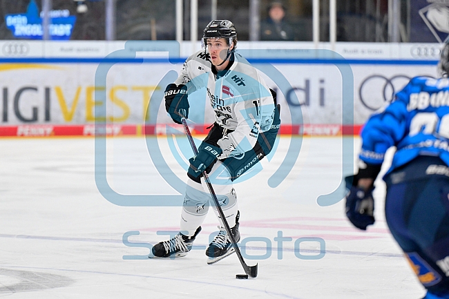 Eishockey, Herren, DEL, Saison 2025-2026, Spiel 16, ERC Ingolstadt - Kölner Haie, 31.10.2025