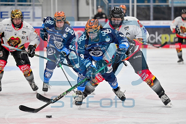 Eishockey, Frauen, DFEL, Saison 2024-2025, ERC Ingolstadt - EC Bergkamener Bären, 04.01.2025
