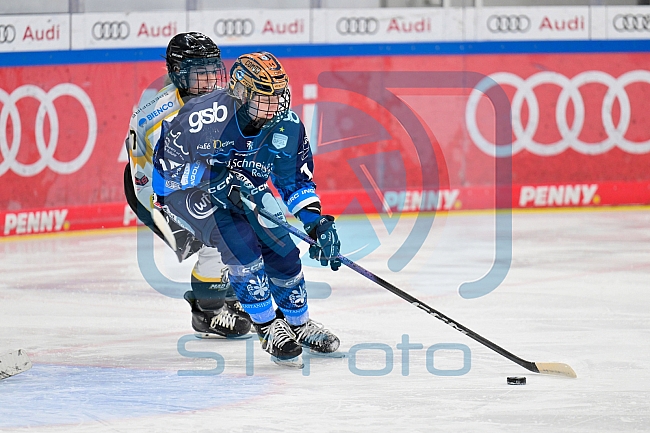 Eishockey, Frauen, DFEL, Saison 2024-2025, ERC Ingolstadt - Mad Dogs Mannheim, 23.11.2024
