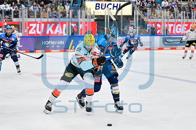 Eishockey, Herren, DEL, Saison 2025-2026, Spiel 10, ERC Ingolstadt - Löwen Frankfurt, 12.10.2025