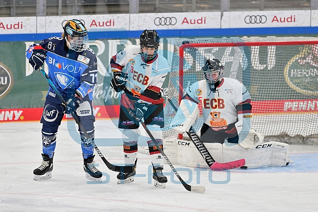 Eishockey, Frauen, DFEL, Saison 2023-2024, ERC Ingolstadt - EC Bergkamener Bären, 28.10.2023